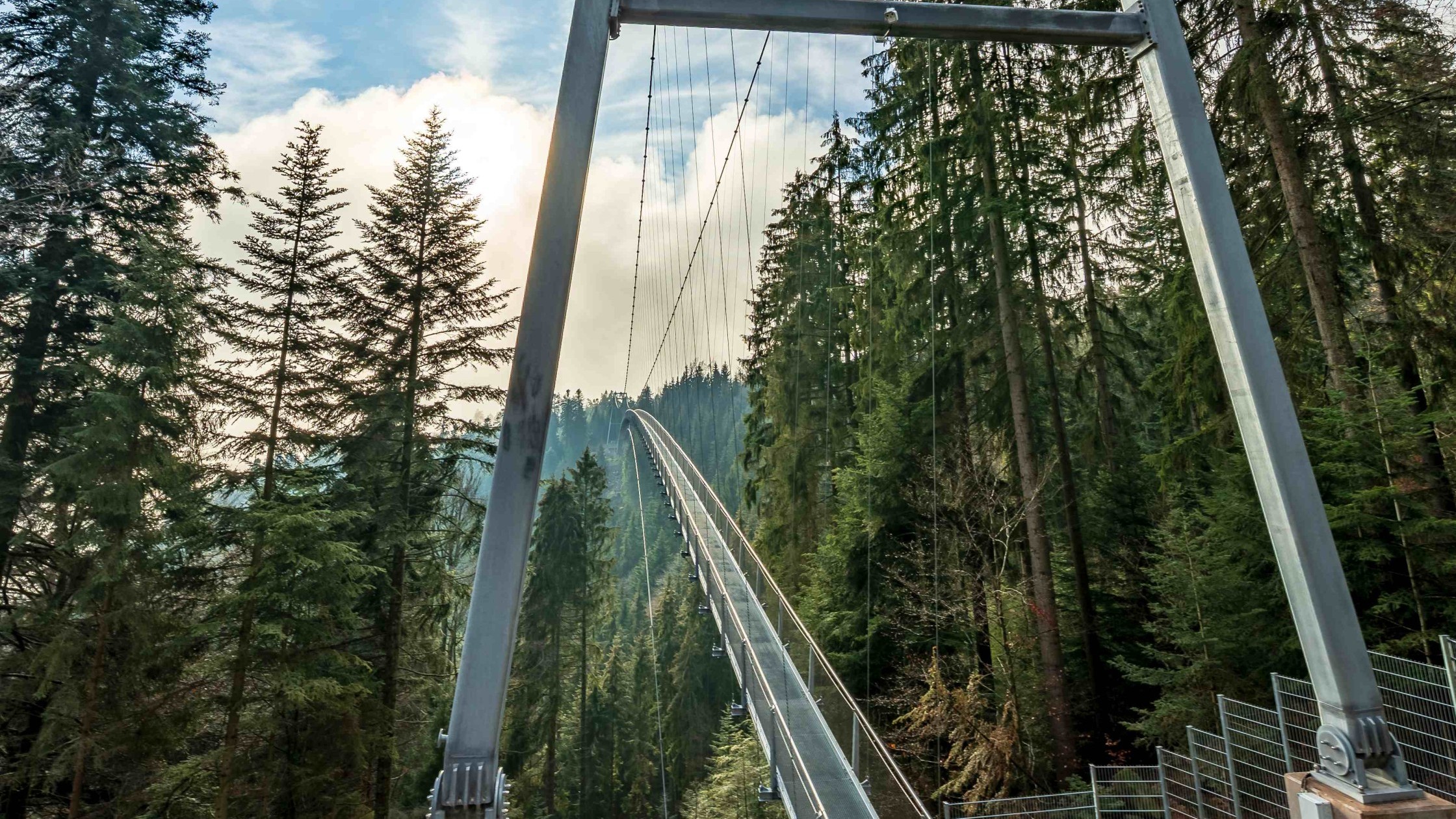 Blick auf die Hängebrücke Wildline in Bad Wildbad